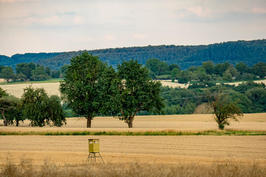 Hoch und J&auml;gersitz im Getreidefeld