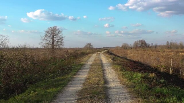 First person point of view driving slowly along a winding and bumpy gravel road through a wild marshland landscape with a beautiful blue sky and scattered clouds during a sunny day