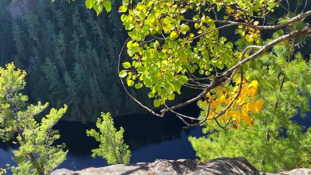 View from a rocky lookout over Barron Canyon in Algonquin Park, with fluttering autumn leaves and wind-blown pine trees above the dramatic landscape.