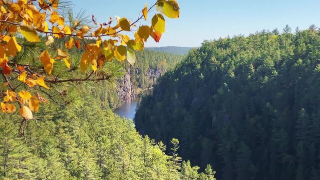 Orange autumn leaves frame a view of Barron Canyon in Algonquin Park, with evergreen-covered canyon walls across the rugged landscape.
