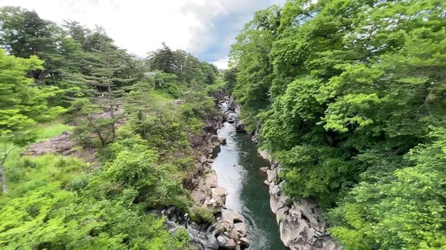 岩手県厳美渓6月：森林と渓流 2024/6/11