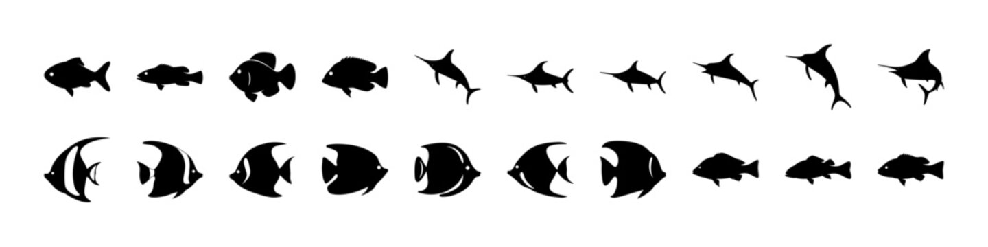 Black and white fish and shark icons set - Minimalist black and white vector icons of various fish and a shark swimming in a row