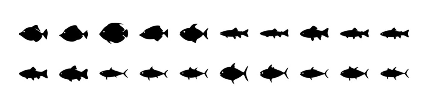 Black fish swimming in a line illustration - Minimalist black and white vector illustration of small fish swimming in a straight line pattern.