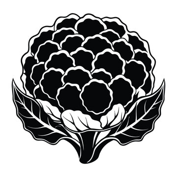 Simple black cauliflower silhouette illustration isolated on transparent background for food related design elements