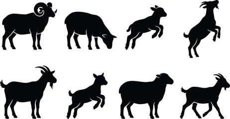 Fototapeta premium Vector silhouette collection of farm animals featuring sheep, rams, lambs, and goats in various poses
