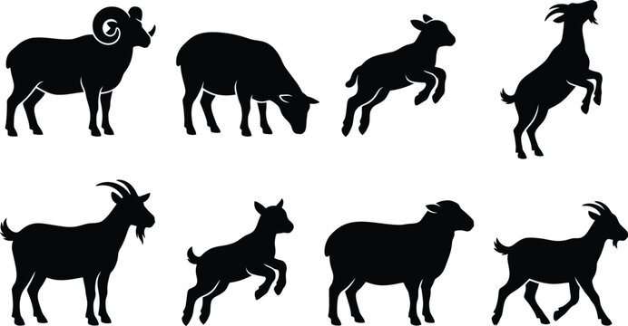 Vector silhouette collection of farm animals featuring sheep, rams, lambs, and goats in various poses