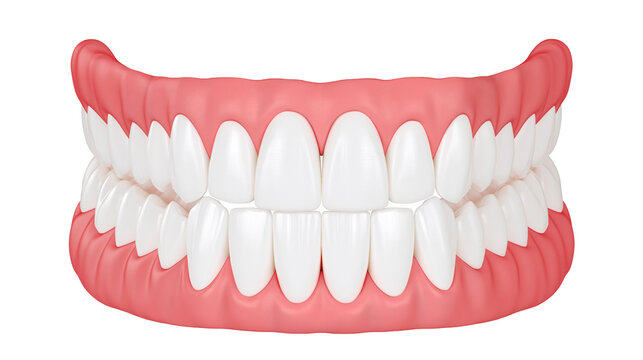 Full set of white dentures with pink gums, isolated on transparent background
