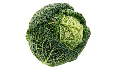 Fototapeta premium Savoy cabbage with textured dark green outer leaves, isolated on transparent background