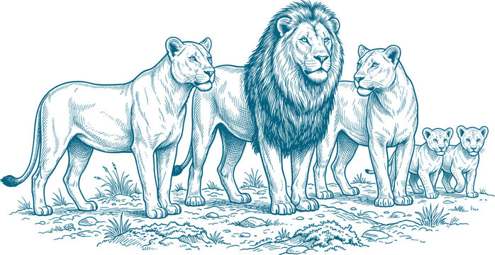 廃盤　PRIDE OF LIONS　2枚セット　送料無料 Lion Pride