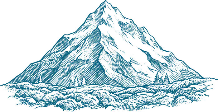 Tall snow dusted mountain peak rising above low bushes and small pine trees