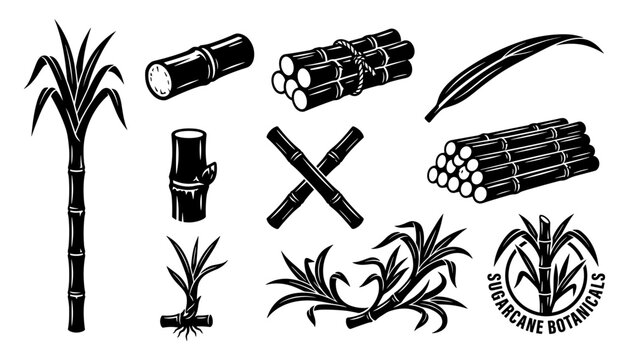 Bamboo and Arcane Botanicals Icon Set with Spears, Jars, and Magical Spellbook Style Vector Line Art