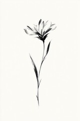 Fototapeta premium Minimalist black ink flower