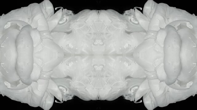 Black and white ink clouds form a mirrored kaleidoscope pattern in water, creating a surreal abstract motion background for music visuals, titles and modern design.