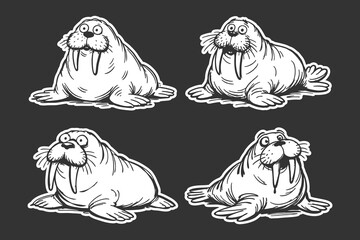 Walrus cartoon character set featuring four distinct hand drawn style illustrations isolated on a dark background showing cute arctic mammals with tusks and funny expressions © DzgnVibe