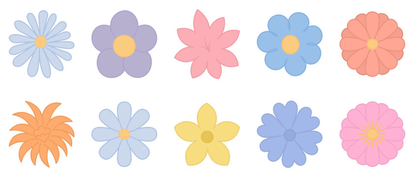 Set of flower inflorescences. Color vector illustration. Chamomile, violet, lily, gerbera, lush bud, chrysanthemum, cornflower, narcissus. Outline on an isolated white background. Flat style. 