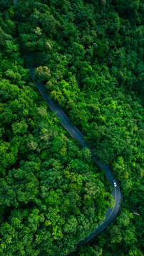 Aerial Forest Road Through Tropical Landscape for ESG Sustainability and Net Zero Strategy