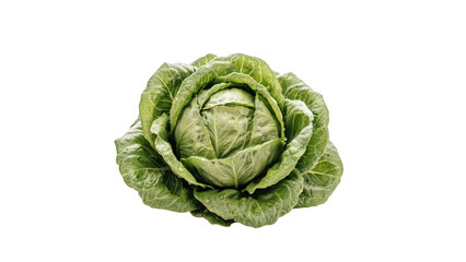 Obraz premium A single round head of fresh green cabbage featuring layered leaves and visible water droplets, isolated on a transparent background, for use