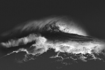 Ocean Wave © Joao