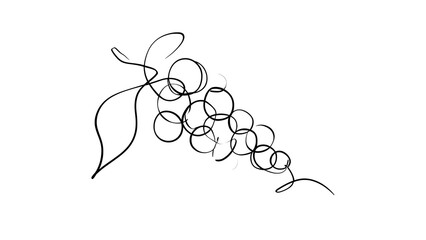 Fototapeta premium Hand drawn grape cluster sketch on white background.