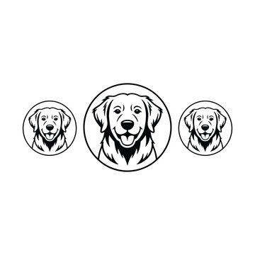 Digital illustration of three computer monitor icons for web usage