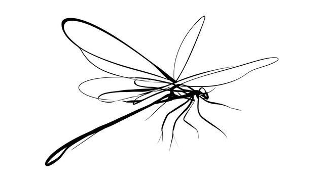 Minimalist dragonfly sketch on white background.