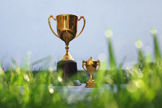A small trophy and a large trophy side by side. A concept of growth in business and sports.