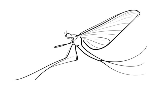 Minimalist mayfly line art on white background.