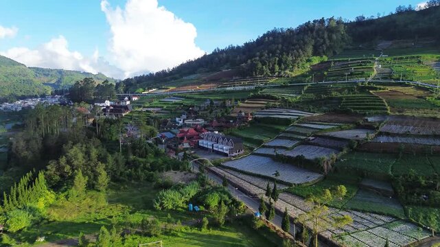 Aerial Drone View of Lush Green Rice Terraces on Hillsides in Indonesia