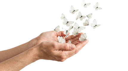 Ethereal white butterflies flying from open hands, concept of freedom and transformation, delicate winged insects released into the air isolated PNG with Transparent Background © khawar