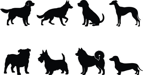 Set of black silhouettes representing various popular dog breeds isolated on a plain white background © MstShefaly