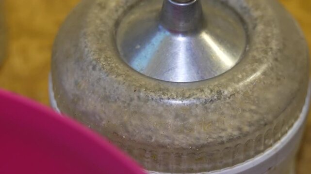 Blender, food, chopper grinding nuts in kitchen appliance while preparing ingredients for healthy vegetarian cooking recipe