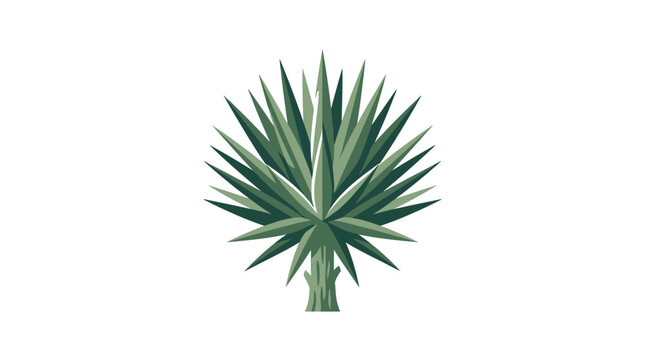 A detailed illustration of a green agave plant with sharp pointed leaves.