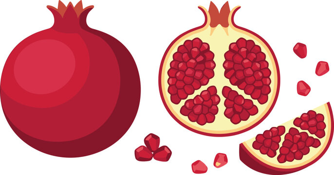 Fresh Pomegranate Vector Illustration Set with Whole, Halved, Wedge, and Seeds Isolated on Transparent Background for Healthy Food Designs