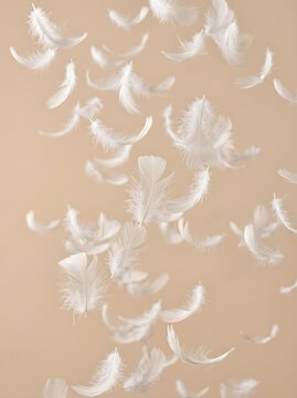 Rain of white feathers falling aesthetically on brown background.