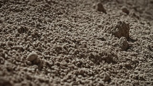 Closeup panoramic view of dry granular construction material with shallow mounds, clumps, pebble-like grains, fine powder, and warm directional light across rough surface