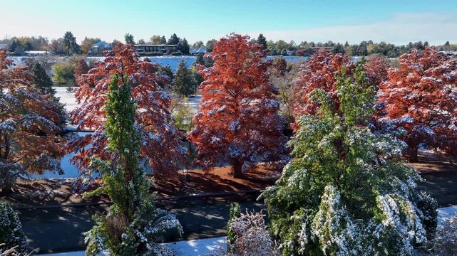 Ann Morrison Park Aerial Drone Shot Featuring Autumn Foliage and Fresh Snowfall in 4k Video Showing Vibrant Red and Green Trees Around a Calm Pond in a Quiet Urban Environment