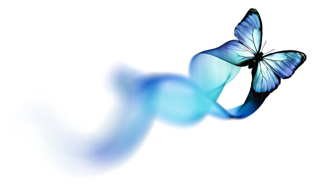 Butterfly Flying With a Blue Ribbon on an Isolated Background for Design and Decoration Purposes