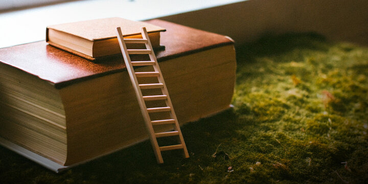 Lifelong learning and education leading to success with a tiny toy ladder laid across books