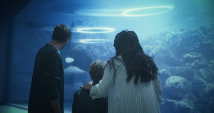 Oceanarium Marine Life Park: Cheerful Family Portrait as Mom, Dad and Their Son Point at a Swimming Orca, Watching and Learning About Marine Life and Ocean Life. Moving Wide Shot People Looking Around