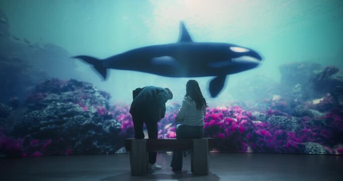 Oceanarium Marine Aquarium Park Museum Young Man and Woman Share a Romantic Oceanarium Date, Seated on a Bench as a Orca Swims Past  Coral Reef Tank. Beautiful Educational Romantic Day Trip