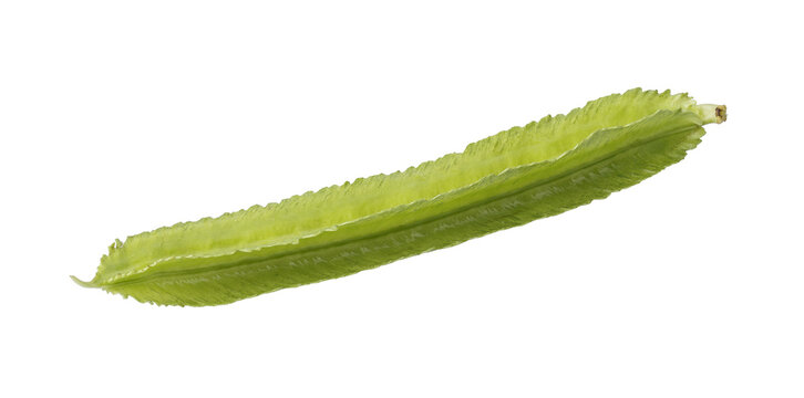 tropical legume vegetable isolated on a transparent background