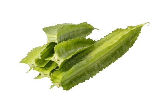 tropical legume vegetable isolated on a transparent background