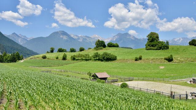 Austrian Alpine Landscape in Summer with Farmland