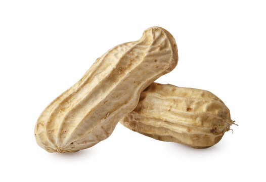A pile of boiled peanuts in their shells isolated on a transparent background