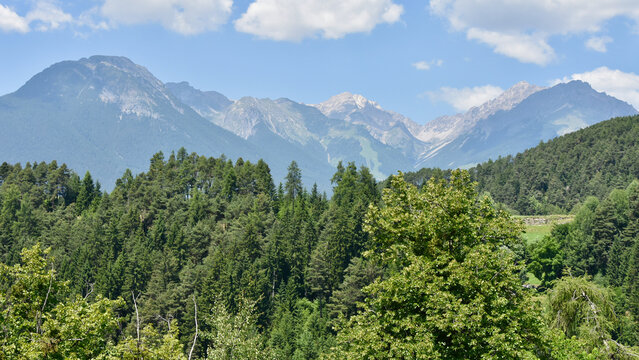 Austrian Summer Alpine Landscape with Forest in Foreground