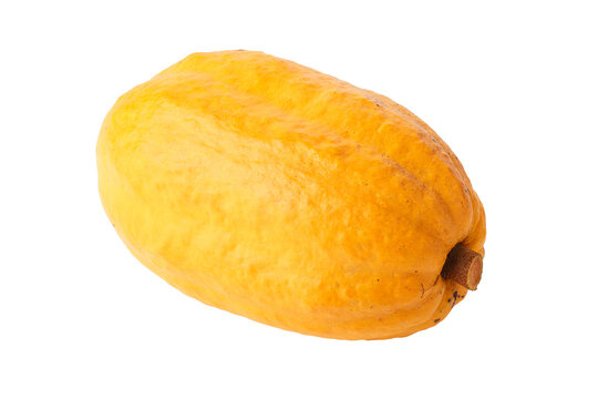 Cacao fruit or pod, containing fresh cacao beans. isolated on a Transparent background