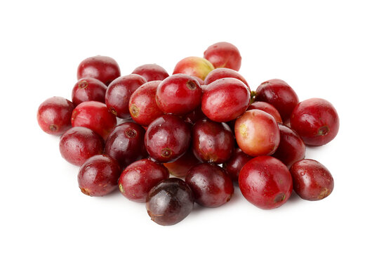 A pile of Red Coffee Cherry isolated on a Transparent background