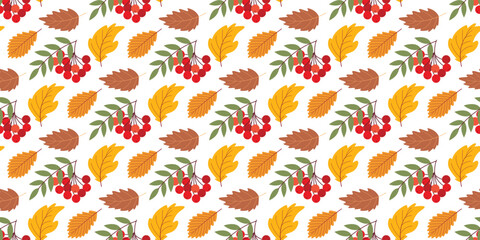 Autumn seamless pattern with rowan berries and leaves. Bright foliage berry background. Botanical fall season print for textiles, design, vector graphics © Iry