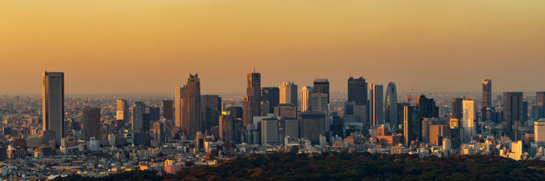 Panoramic sunset view of Shinjuku Gyoen National Garden and Shinjuku skyscraper skyline.
