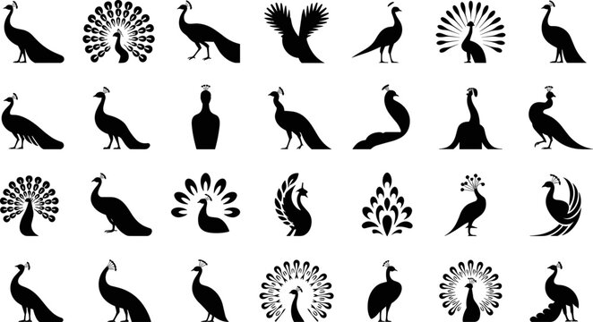 Peacock Silhouette Icon Set with 28 Bird Poses Including Open Feather Tail and Standing Positions for Nature Vector Designs
